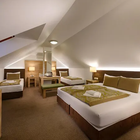Honti Wellness és Konferencia Hotel 3*