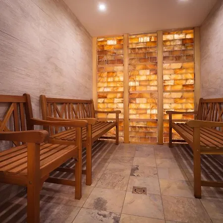 Honti Wellness Es Konferencia Szalloda 3* Visegrad