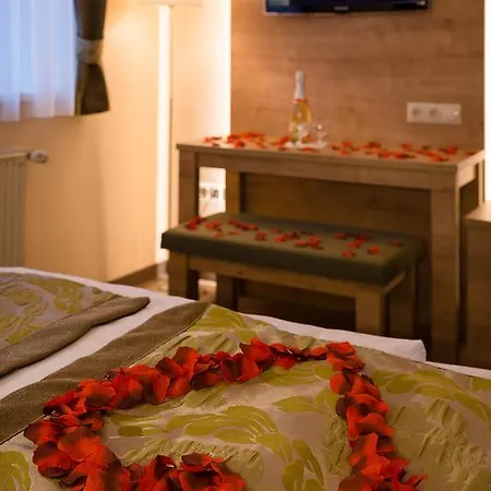 Hotel Honti Wellness Es Konferencia Szalloda 3*