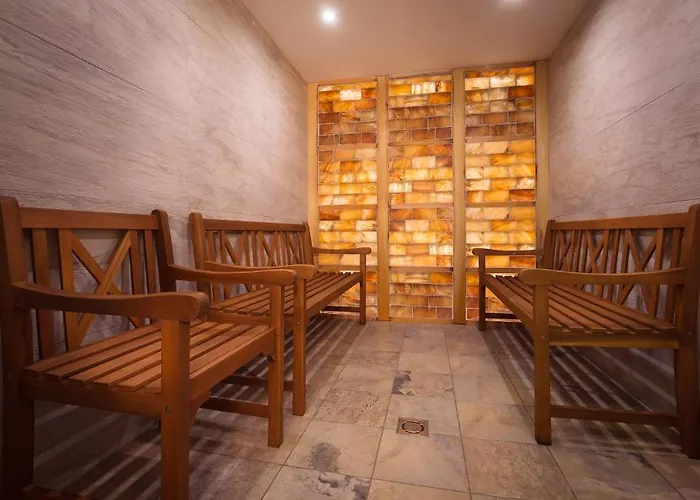 Honti Wellness Es Konferencia Szalloda 3* וישגרד